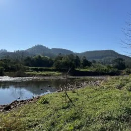 Vista de um rio com vegetação e colinas ao fundo.