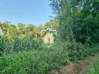 Área rural, foto 8