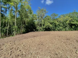 Terreno, foto 1