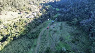 Vista aérea de uma área rural com vegetação densa e um caminho de terra.