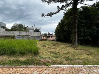Terreno, foto 2