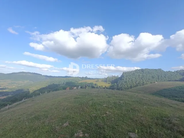 Área rural com 2 dormitórios, foto 4
