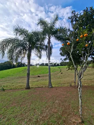 Área rural com 2 dormitórios, foto 13