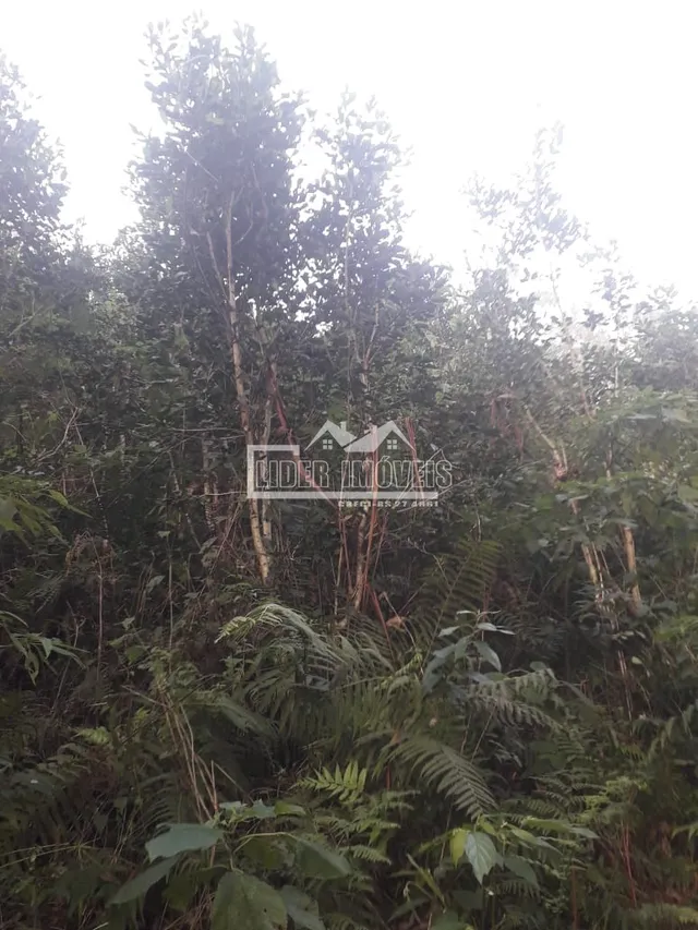 Área rural, foto 5
