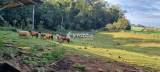 Área rural com 3 dormitórios, foto 10