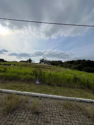 Terreno, foto 3