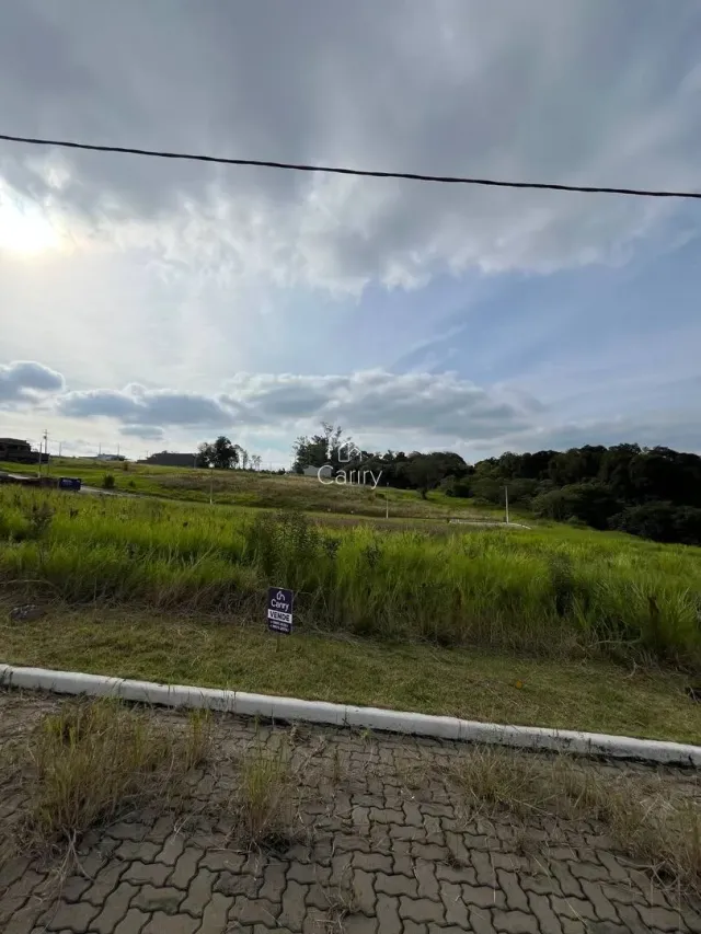 Terreno, foto 3