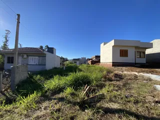 Vista externa de uma propriedade com vegetação alta no dia.