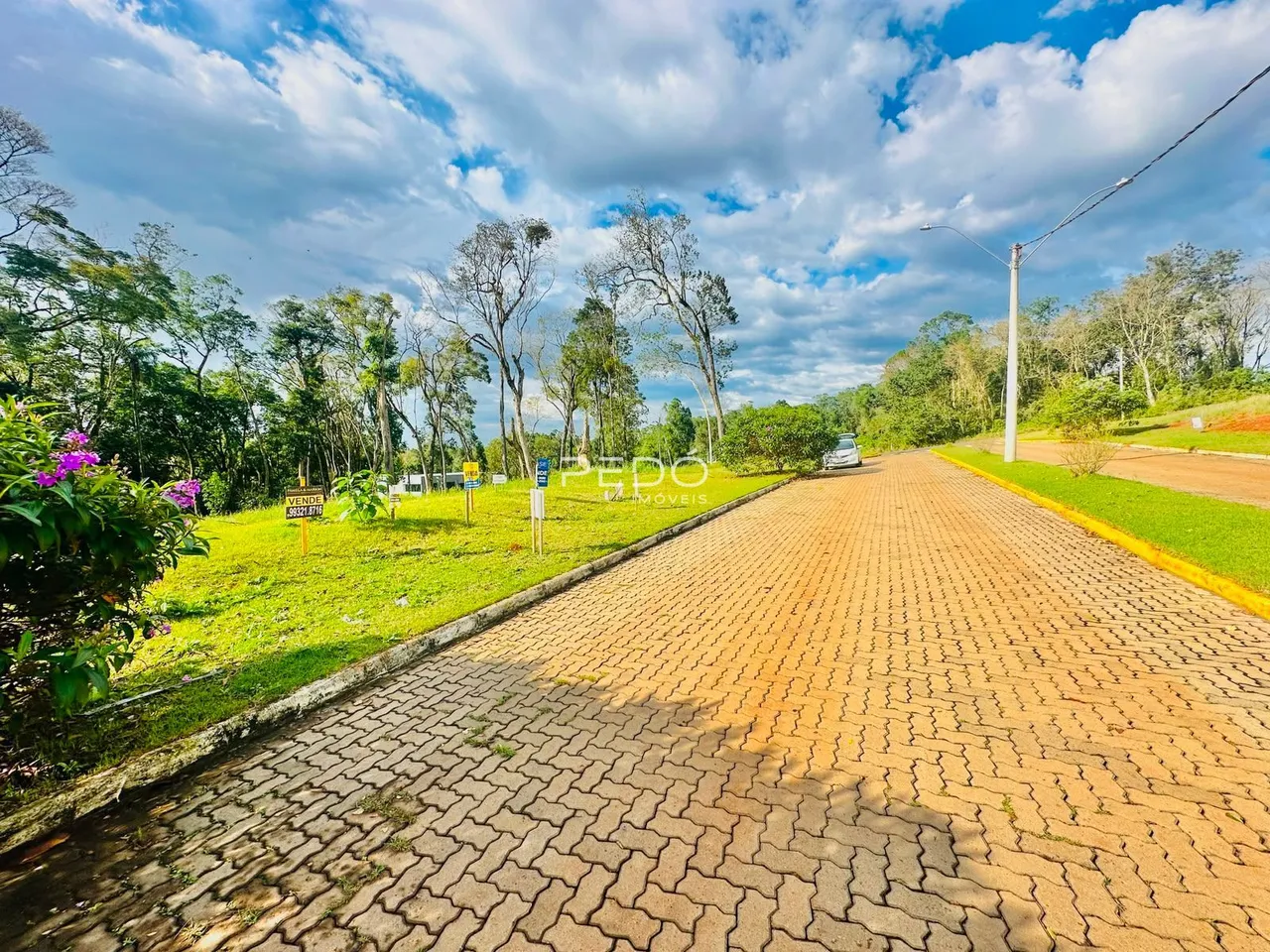 Terreno, foto 1