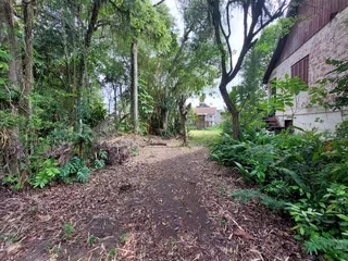 Terreno, foto 4