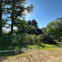 Terreno, foto 5