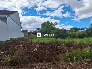 Vista externa de uma residência com vegetação densa no primeiro plano.