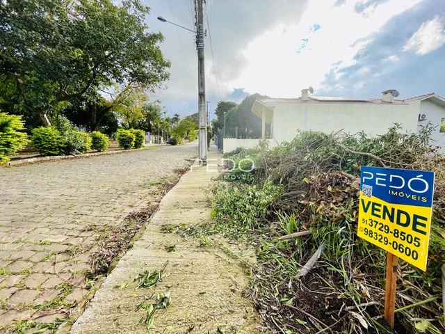 Terreno, foto 2
