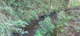 Área rural, foto 6