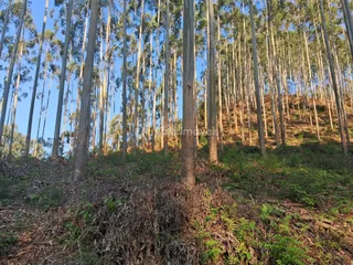 Área rural, foto 10