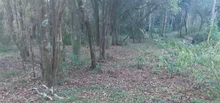 Área rural, foto 10