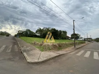 Terreno, foto 1