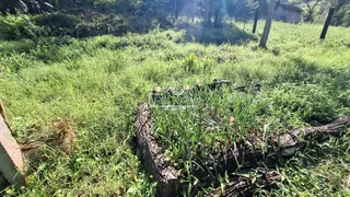 Área rural, foto 13