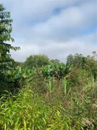 Área rural, foto 2