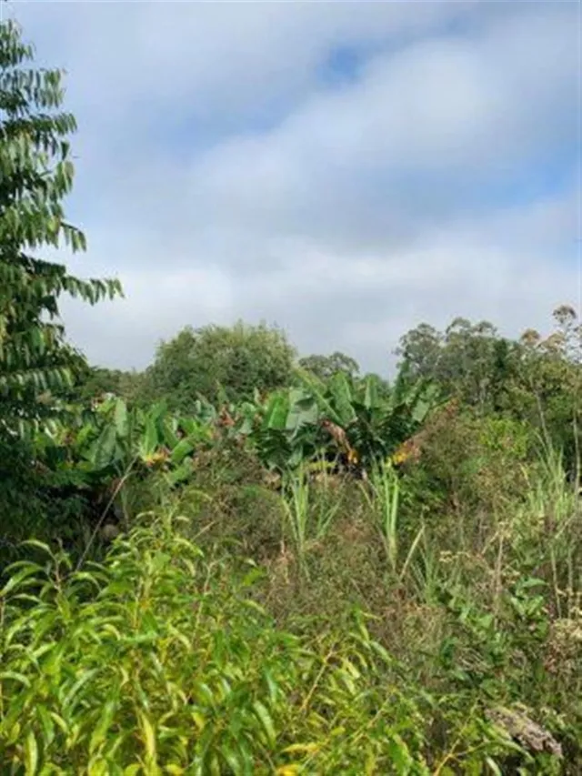 Área rural, foto 2