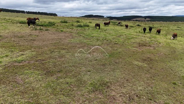 Área rural, foto 2