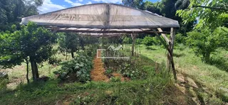 Área rural com 4 dormitórios, foto 13
