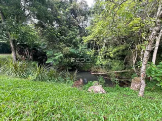 Área rural com 4 dormitórios, foto 6