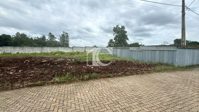 Terreno, foto 3