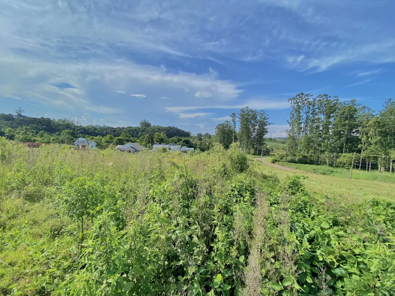Terreno, foto 1