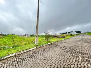 Terreno, foto 3