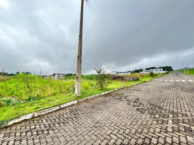 Terreno, foto 3