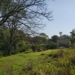 Área rural, foto 7