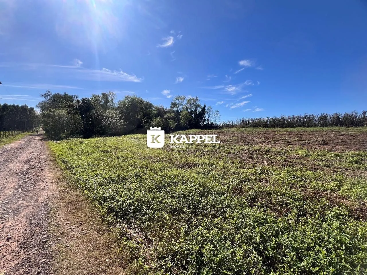 Paisagem de campo com vegetação verde e um caminho de terra sob um céu azul claro.