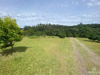 Área rural com 3 dormitórios, foto 11