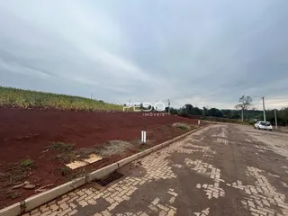 Vista externa de um terreno com estrada de terra e vegetação no Brasil.