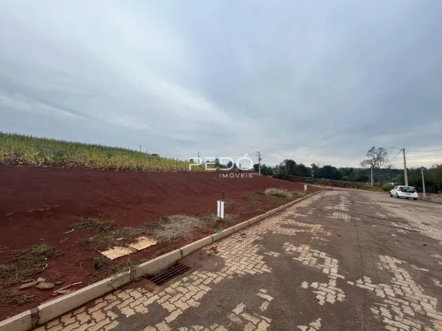 Vista externa de um terreno com estrada de terra e vegetação no Brasil.