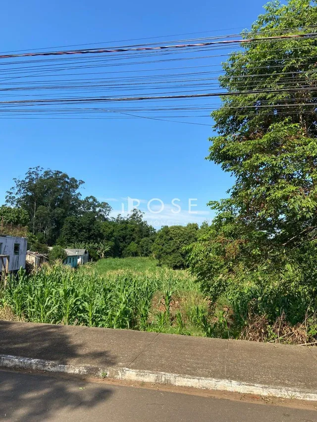 Terreno, foto 4