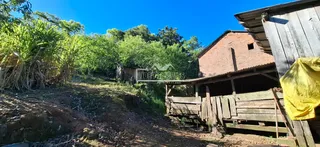 Vista externa de uma propriedade rural com vegetação densa e cerca de madeira.