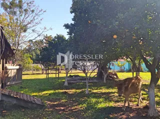 Área rural, foto 6