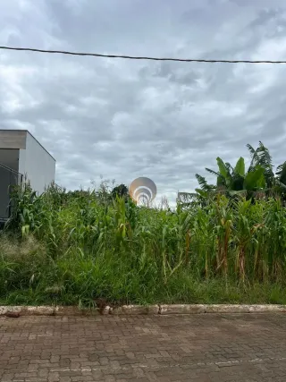 Terreno, foto 4