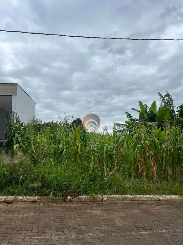 Terreno, foto 4