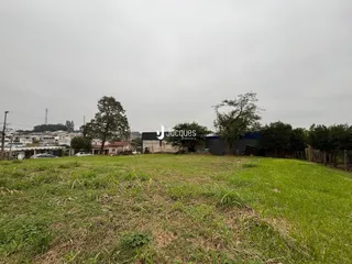 Terreno, foto 5