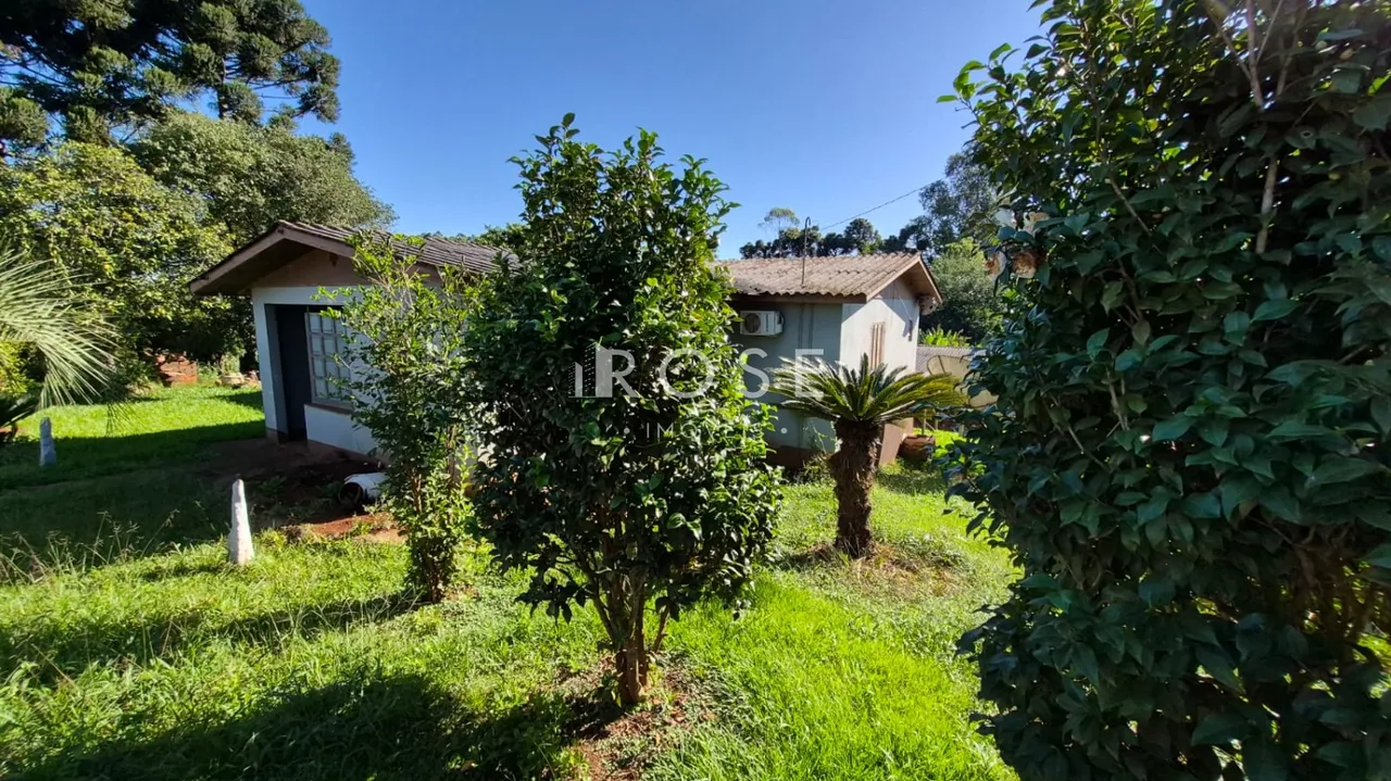 Área rural com 3 dormitórios, foto 1