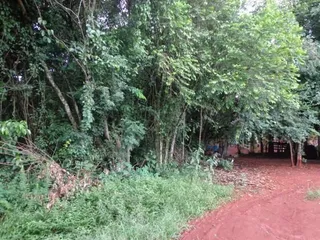 Terreno, foto 2