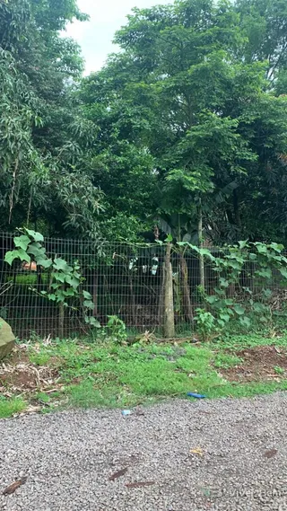 Terreno, foto 3