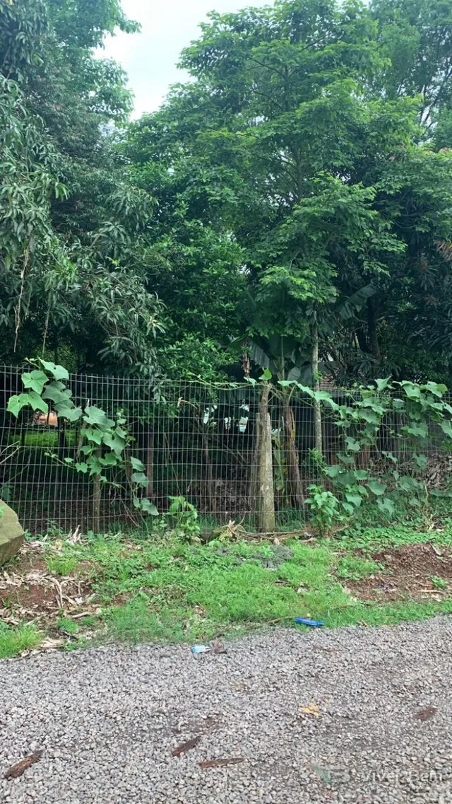 Terreno, foto 3