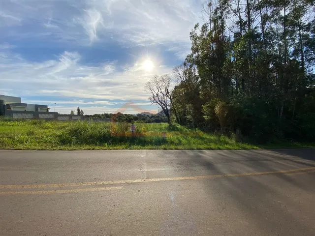 Área rural, foto 3