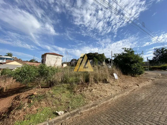 Terreno, foto 5
