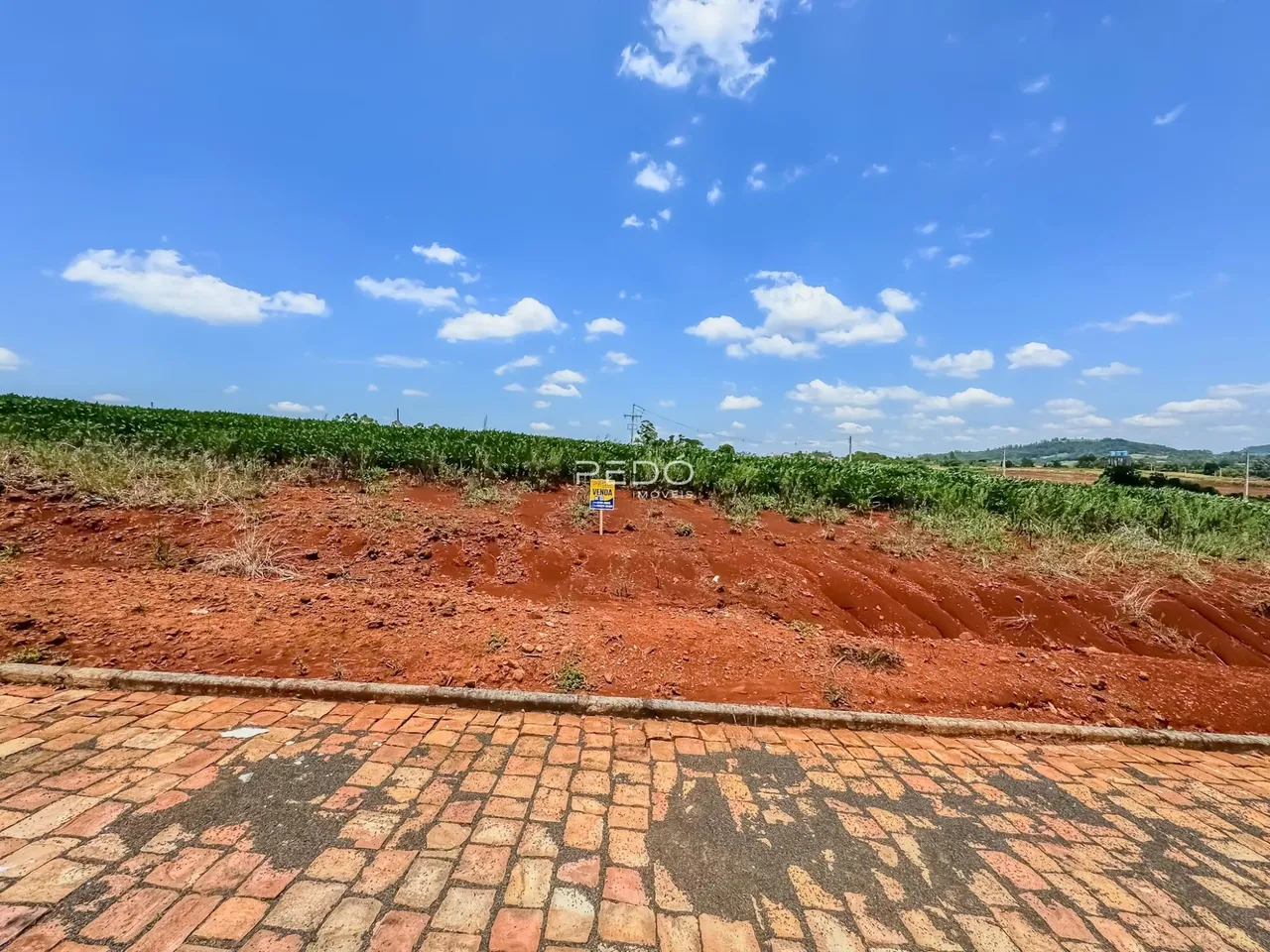 Vista da terra vermelha com vegetação ao fundo.