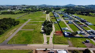 Vista aérea de um loteamento residencial com áreas verdes e casas no horizonte.